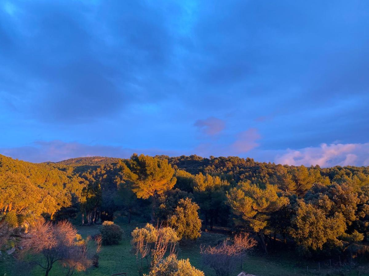 Le Barroux Les-Pepites-De-Badou Presentent La Graviere מראה חיצוני תמונה